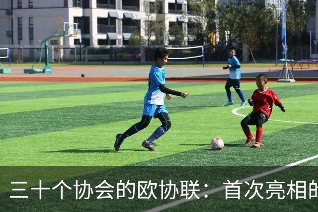 三十个协会的欧协联：首次亮相的战队与各国代表