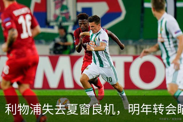 利物浦失去夏窗良机，明年转会瞄准拉扬与新生代的抉择